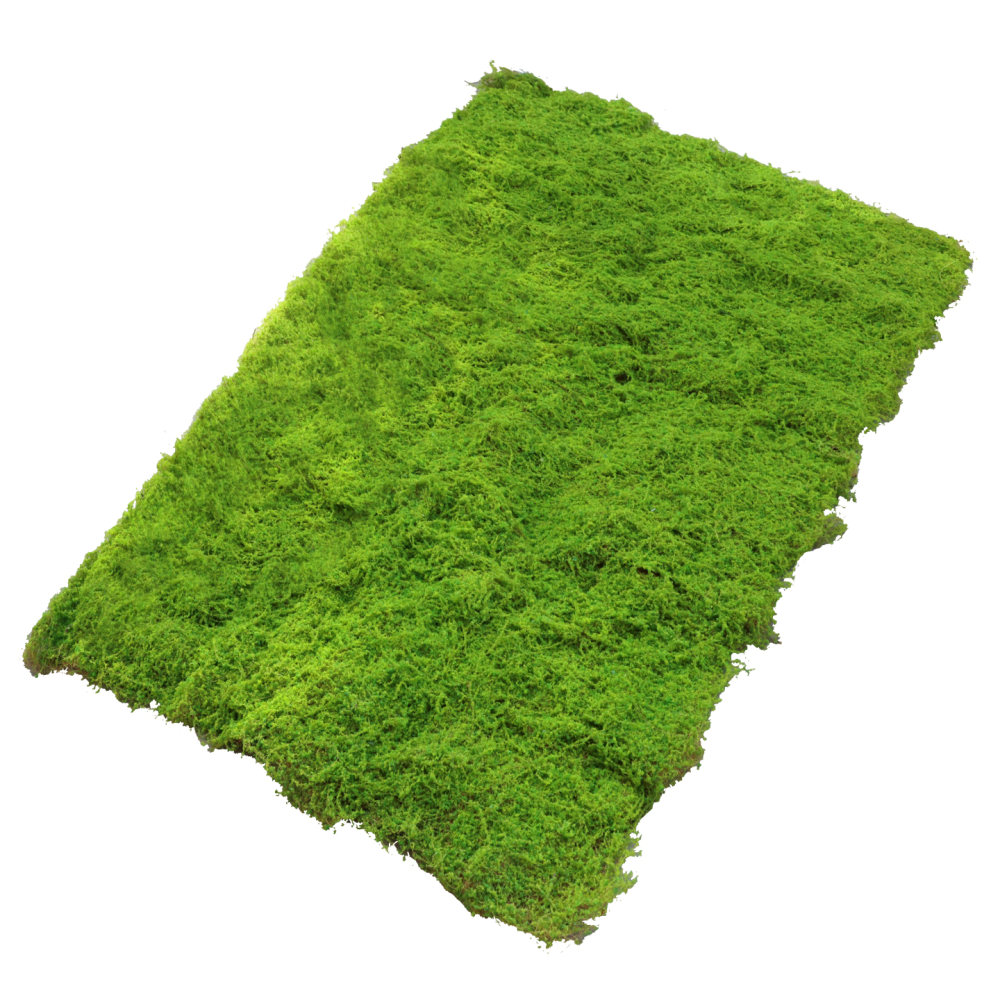 Preserved Moss Sheet - Faux Moss Turf Mat Artificial Green