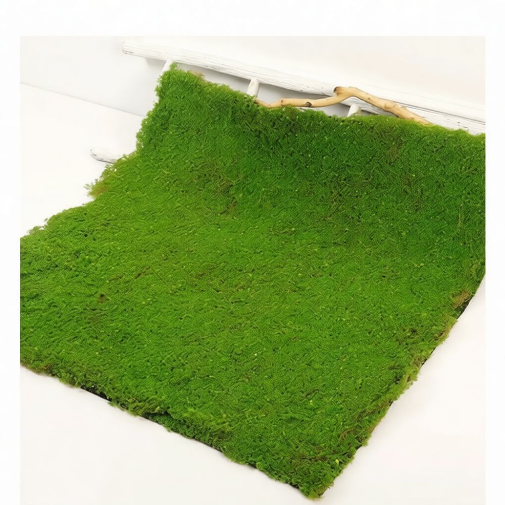 Faux Moss Turf Mat Artificial  - огляд і ціна Preserved Moss Sheet