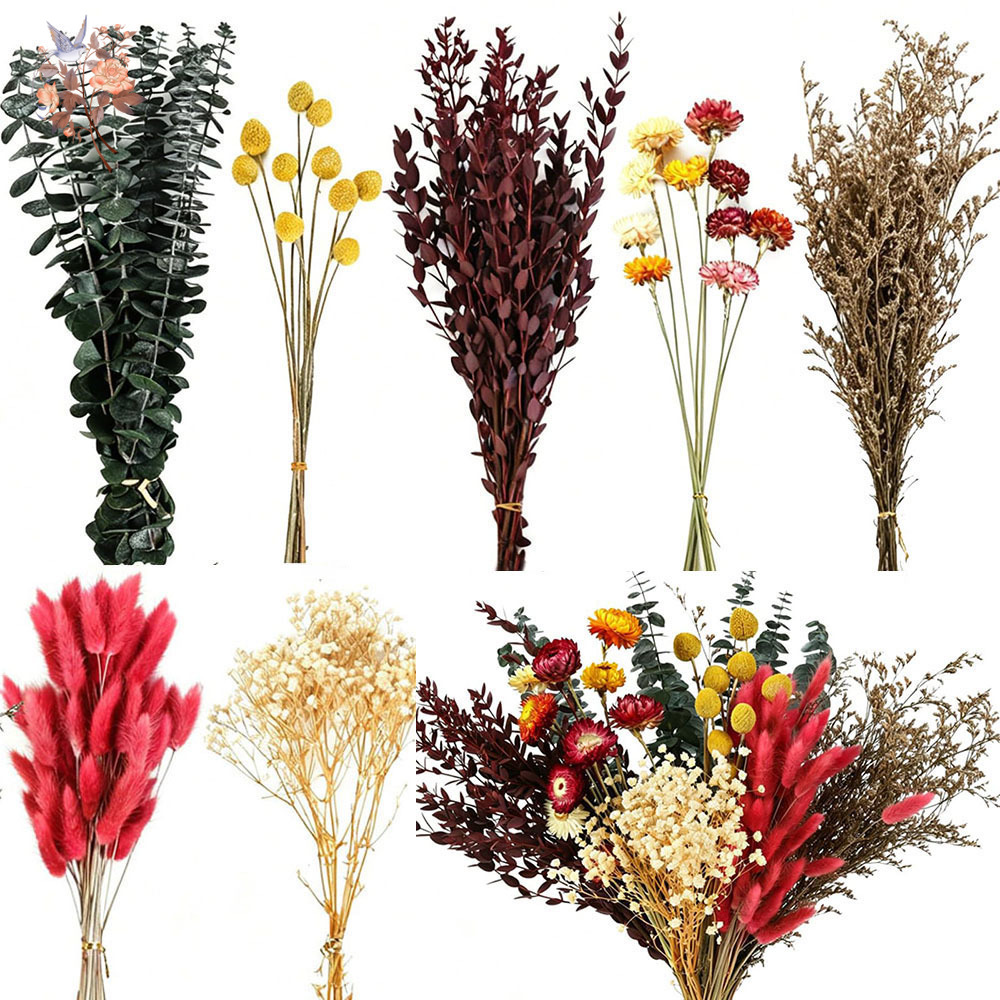 Dried Flowers Bulk Set 7 Kinds - огляд і ціна Florist Supply Bulk