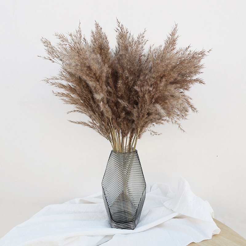 10Pcs Colorful Natural Reeds P - огляд і ціна Florist Supply Vases