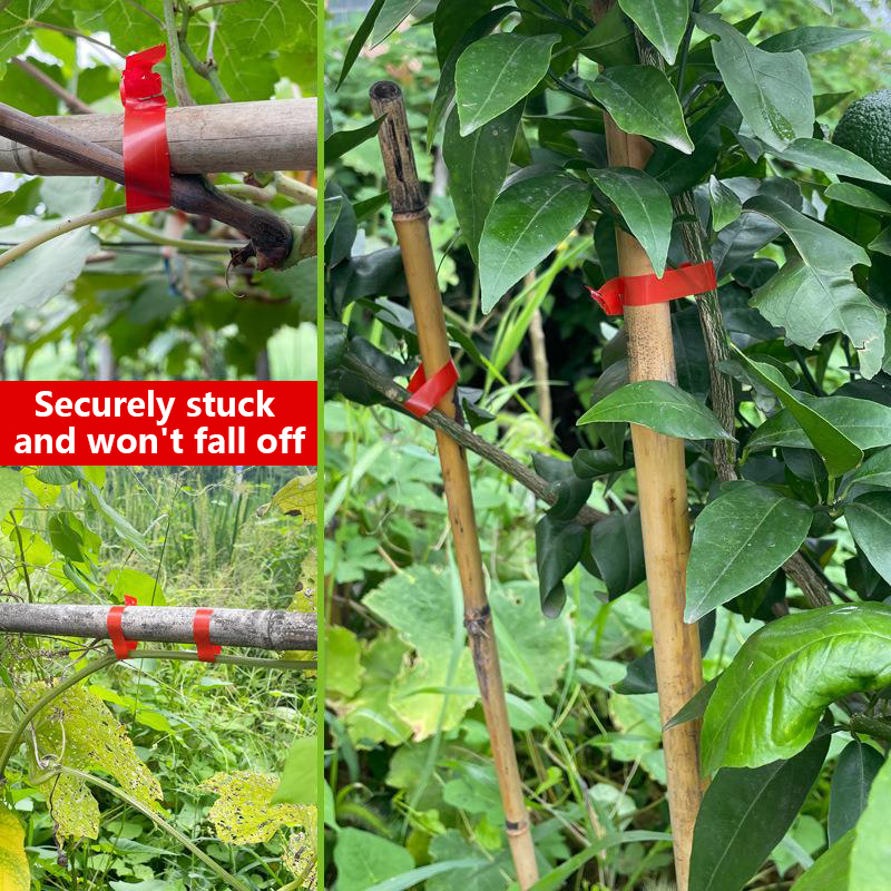 Household Garden Plant Tying T - огляд і ціна Florist Supply Bulk