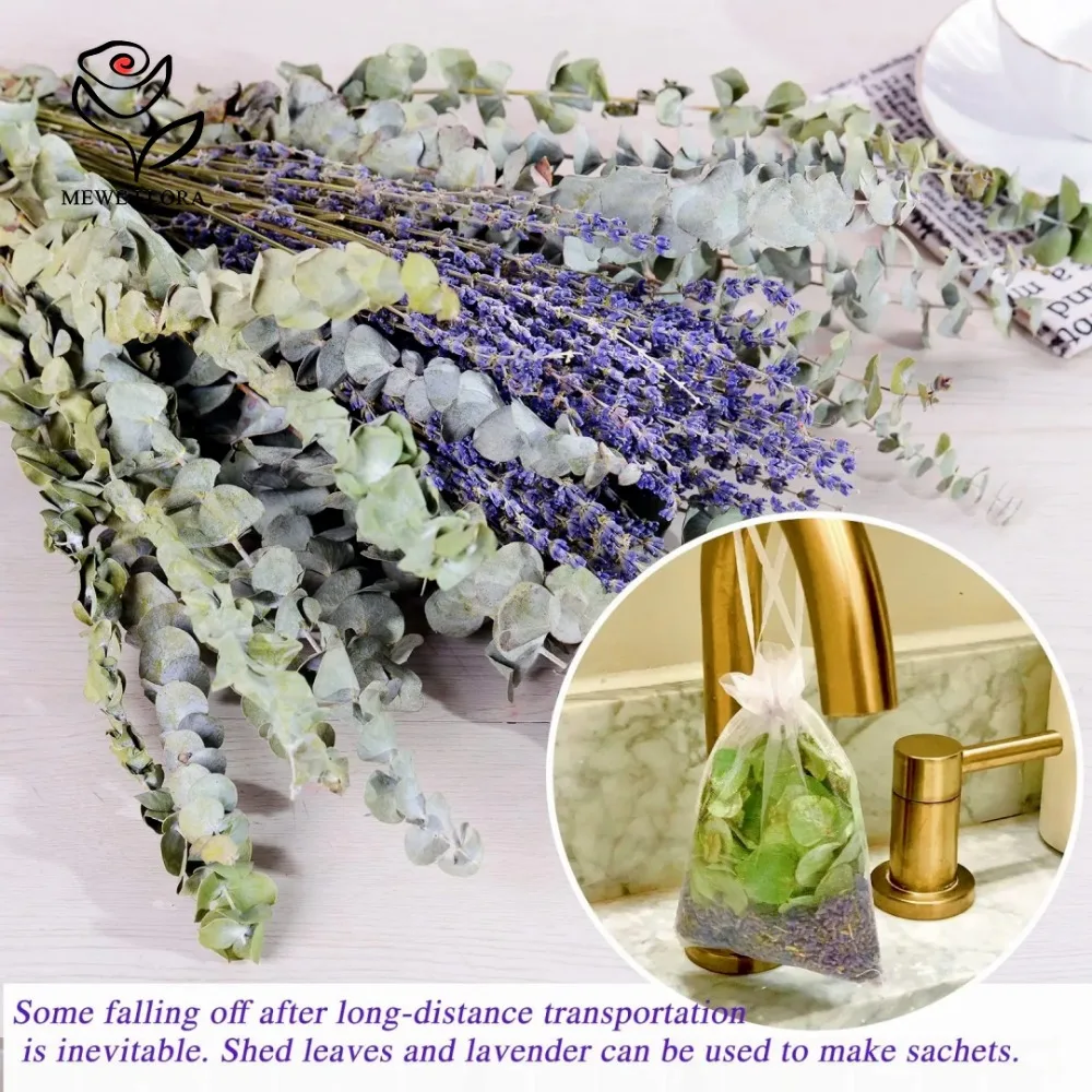 30Pcs Dried Flowers Preserved  - огляд і ціна Eucalyptus Preserved