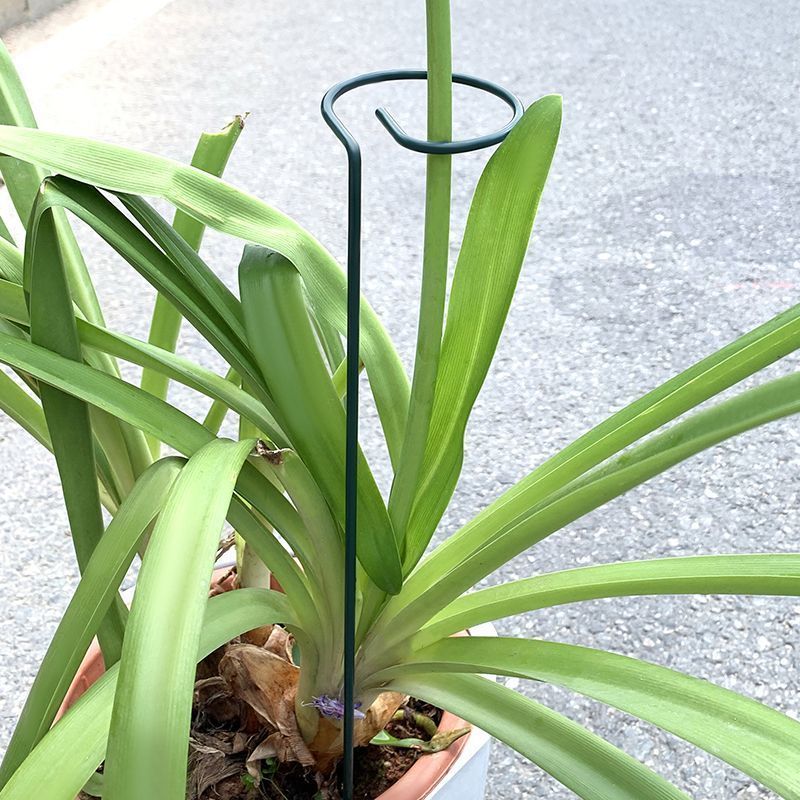 1-10pcs Metal Single Stem Plan - огляд і ціна Florist Supply Bulk